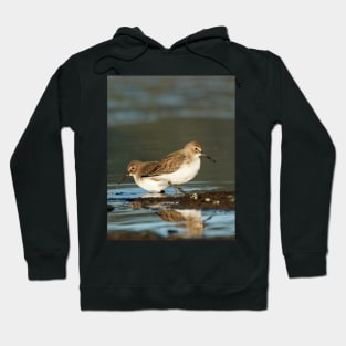 Dunlin Double Hoodie